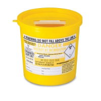 2.5 Litre Sharps Box