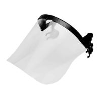 CENTURION S590 VISOR